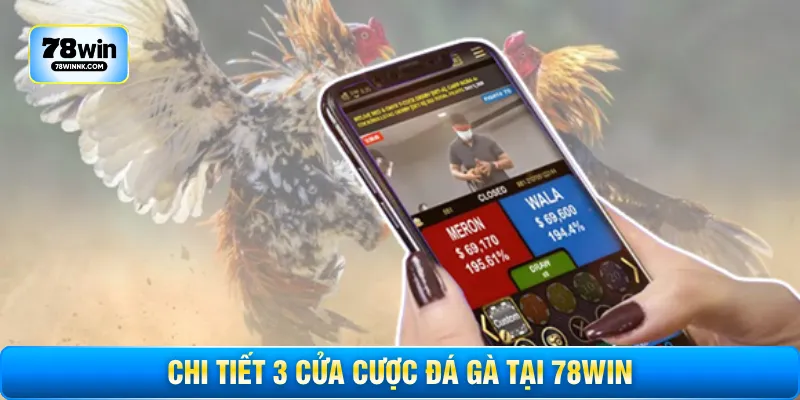 Chi tiết 3 cửa cược đá gà tại 78WIN