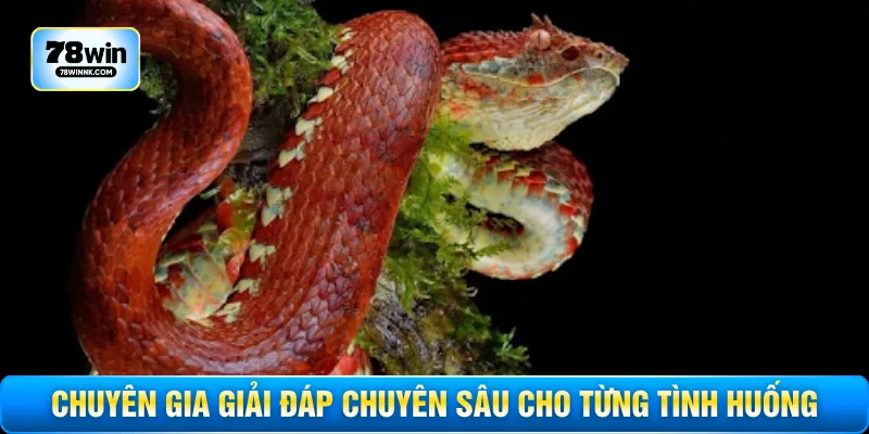 Chuyên gia giải đáp chuyên sâu cho từng tình huống